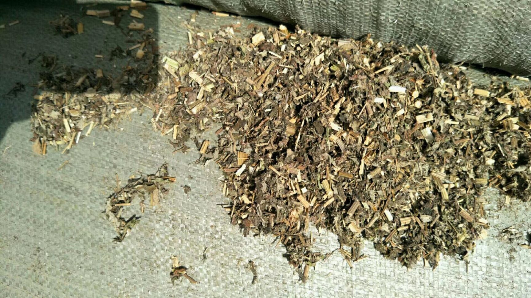  大量供应全棵艾
