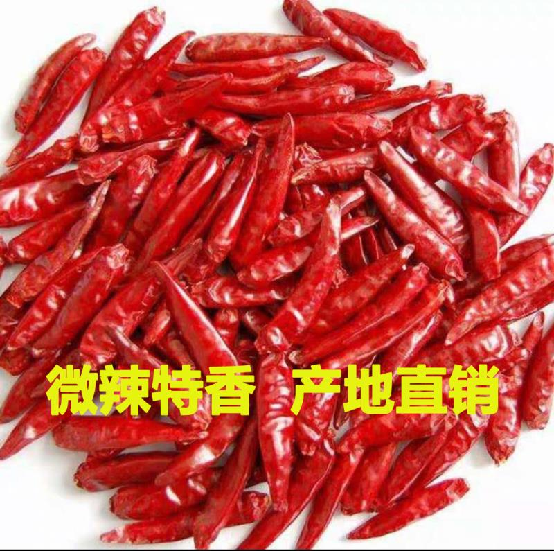 三樱干辣椒  精品新一代干红辣椒微辣特香
