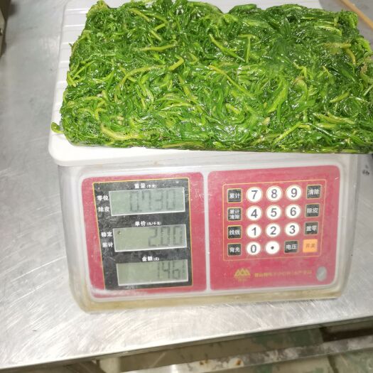 唐山速冻黄须菜 皇须菜