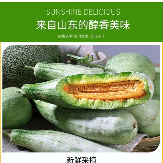 莘县 山东聊城市莘县博洋6号甜瓜 吃了发发发
