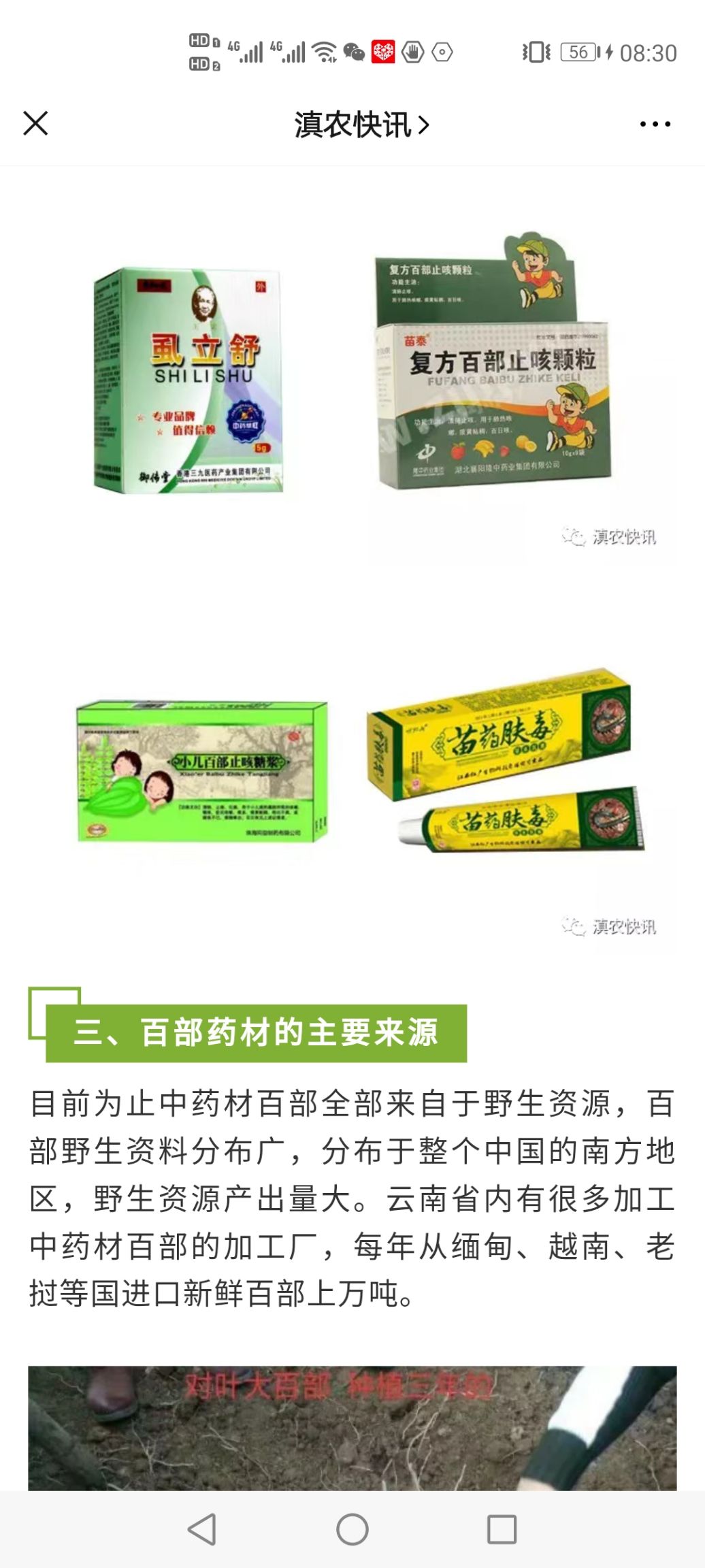 百部种苗亩产13吨代客户育苗