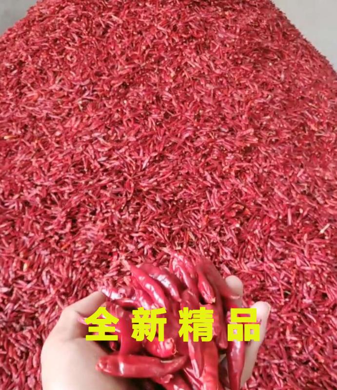 三樱干辣椒  精品新一代干红辣椒微辣特香