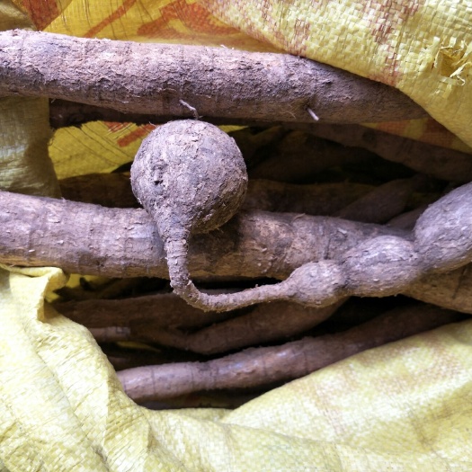 牛大力