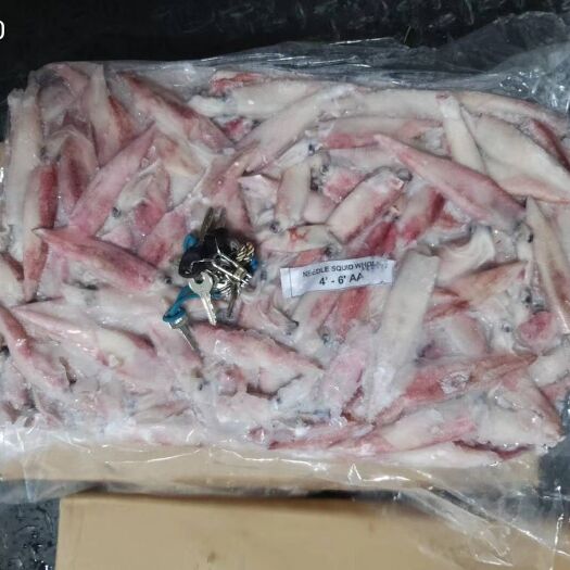 湛江 鲜冻小管鱿鱼规格俱全湛江产