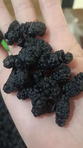 桑葚干  桑椹干：大颗粒精品可视频看货：支持线上保障交易