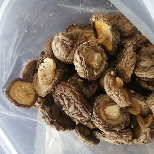 连南县 粤北香菇