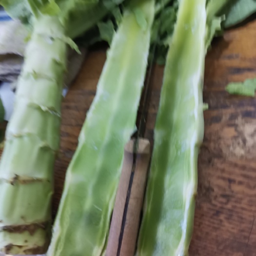 定州市酱笋 实心，青肉青肉，基地直供