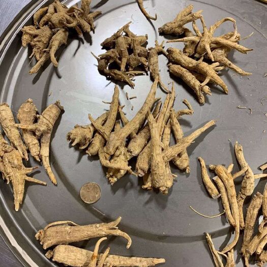 江门 加拿大西洋参
