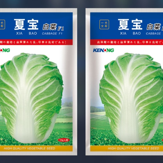 济南 抗热白菜种子：夏宝