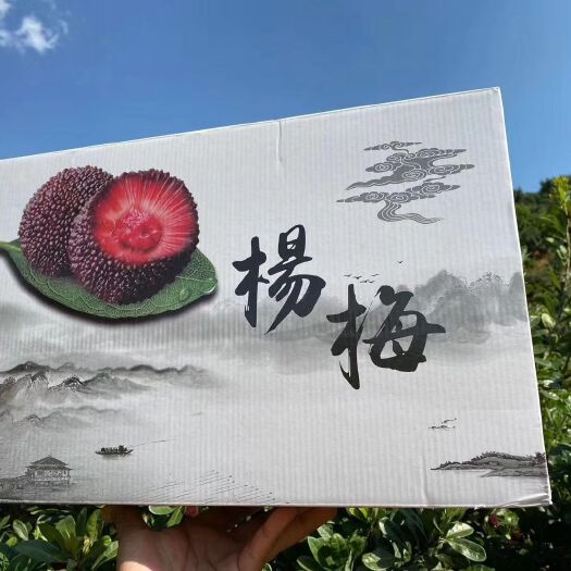 石屏县 杨梅