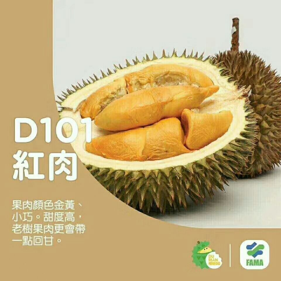  正宗马来西亚榴莲，各种检验检疫证齐全，质量保证，售后