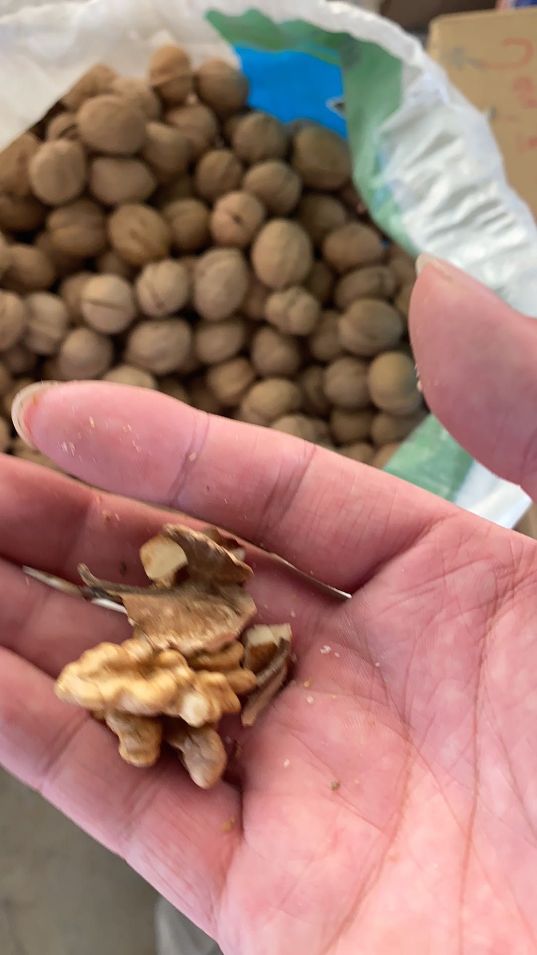 纸皮核桃 30mm以上 散装 6-12个月