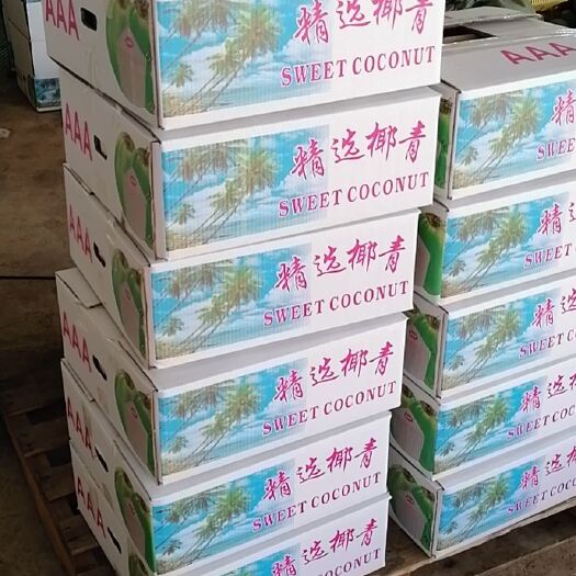 文昌市 海南椰子产品批发