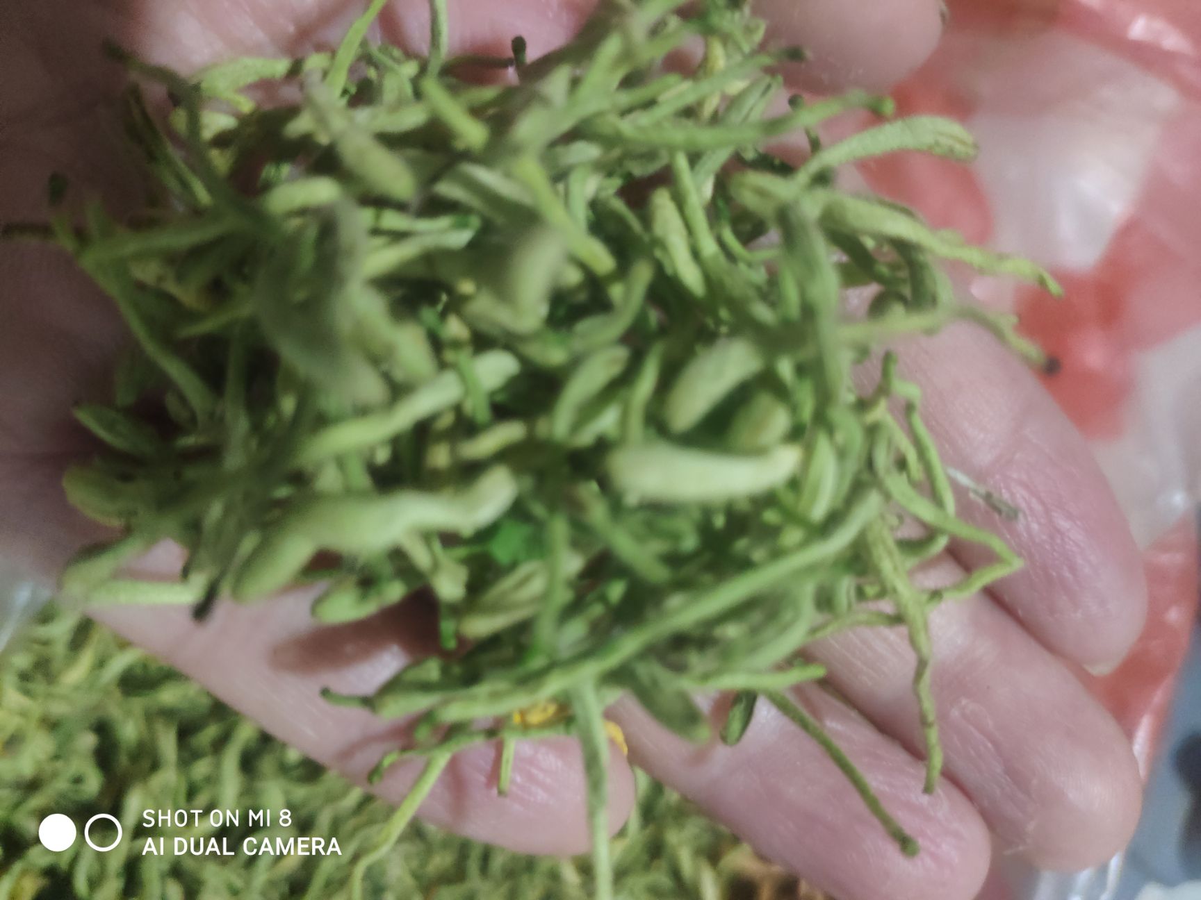 金银花，泡茶用，无硫，手选，批发零售