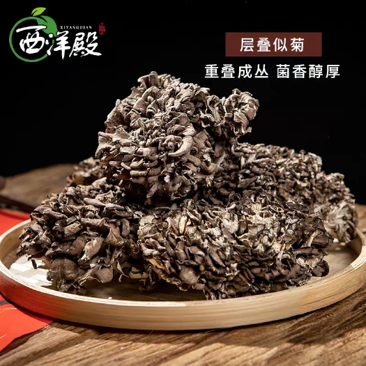 庆元县 西洋殿灰树花干货灰树菇食用菌舞茸茶农家栗蘑菌菇菊花菌新鲜
