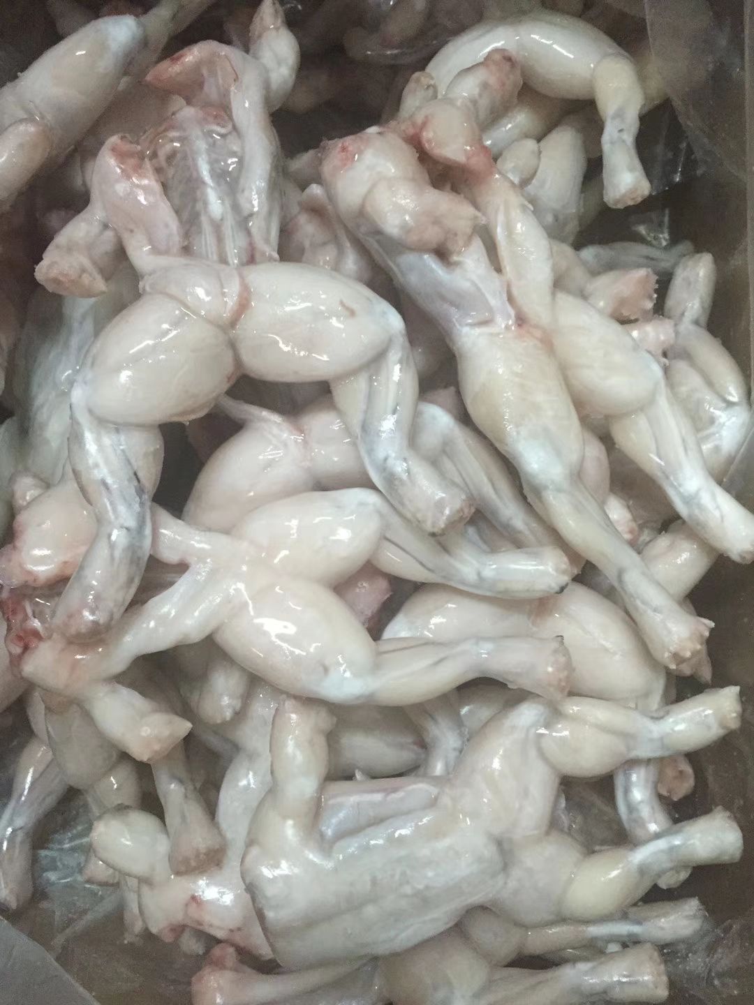 牛蛙