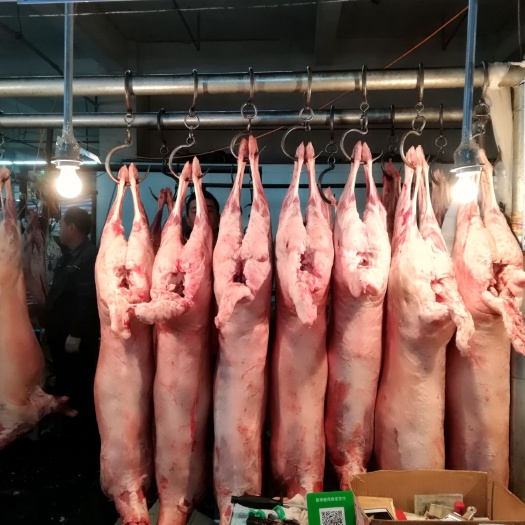 呼和浩特羊肉串 新鲜四子王旗羔羊