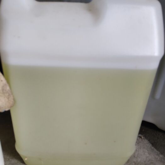 麻江县 贵州高坡种植的缬草，蒸馏提取的缬草油