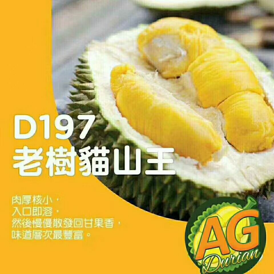  正宗马来西亚榴莲，各种检验检疫证齐全，质量保证，售后