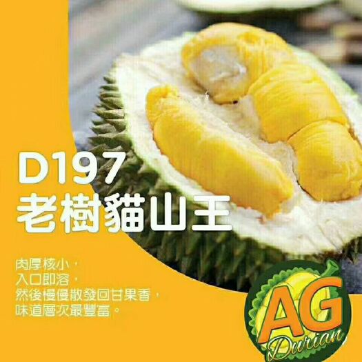 佛山 正宗马来西亚榴莲，各种检验检疫证齐全，质量保证，售后