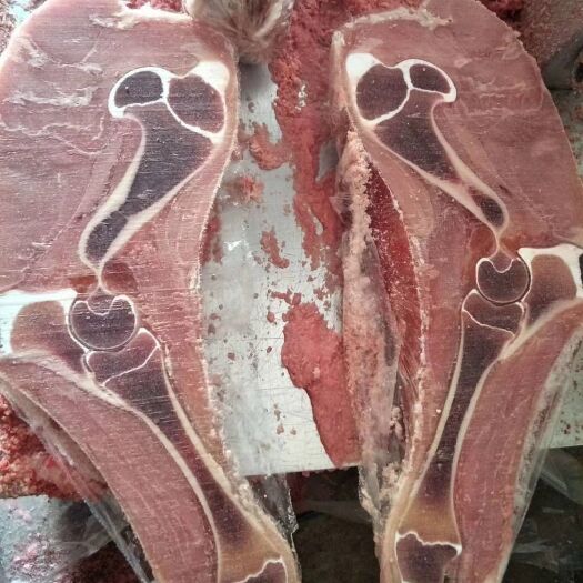 无极县厂家直销牛肉类  牛腿，乳牛前腿，乳牛后腿，支持一件起批