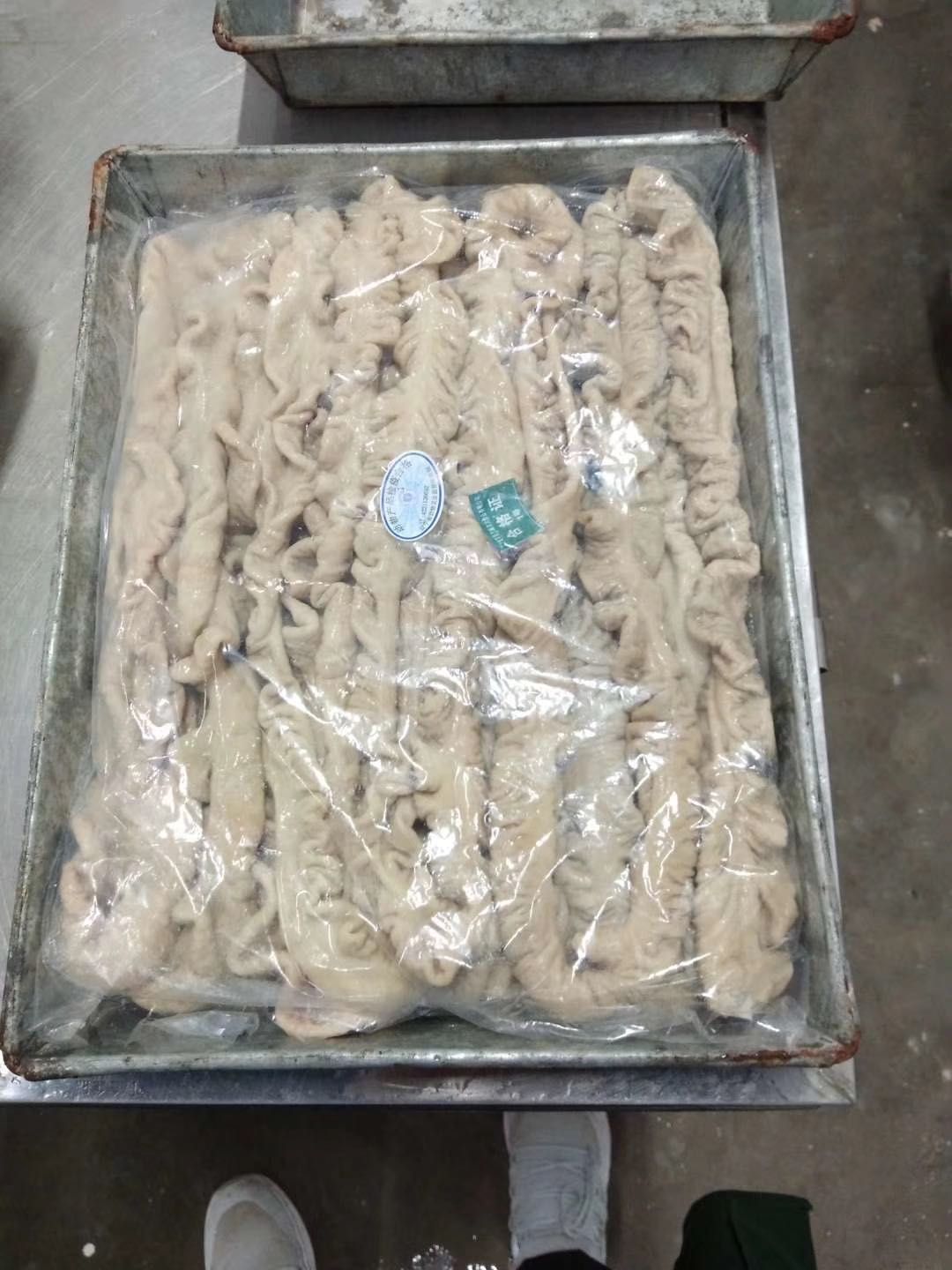 猪大肠  大肠  精品免洗预煮大肠