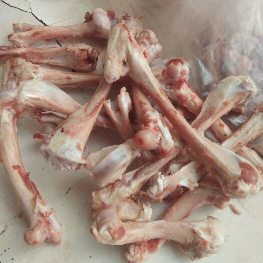 阳信县羊骨头 新鲜羊棒骨厂家直销大量有货