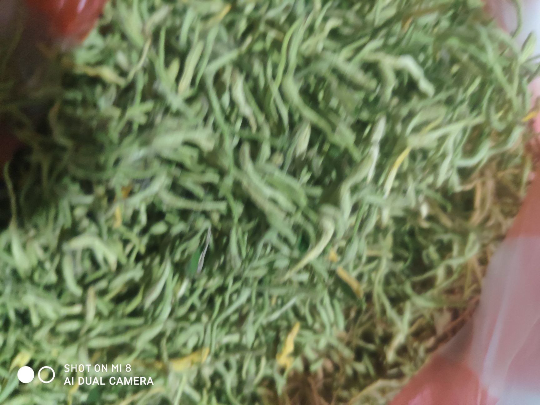 金银花，泡茶用，无硫，手选，批发零售