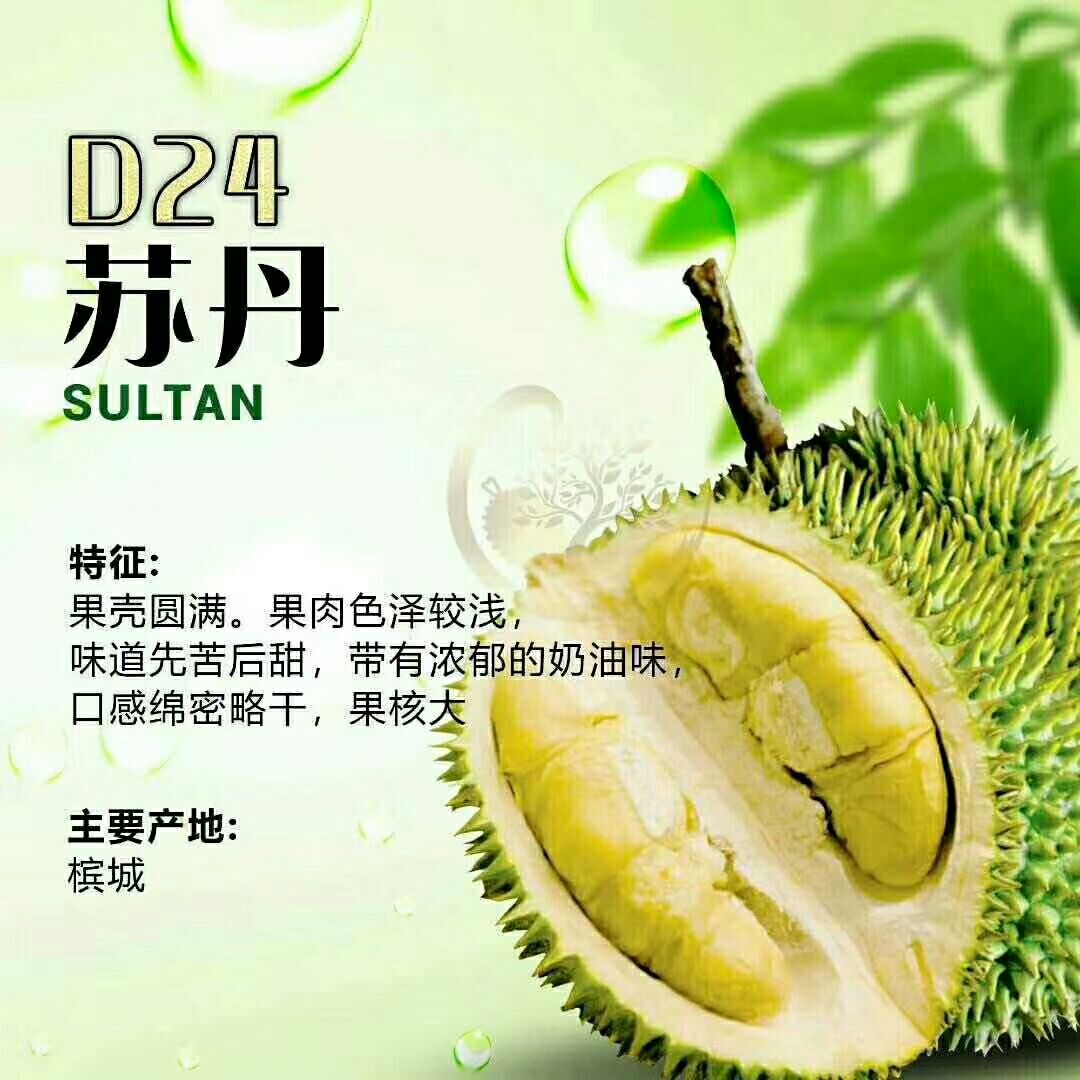  正宗马来西亚榴莲，各种检验检疫证齐全，质量保证，售后