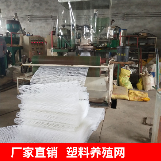 安平县漏粪板  塑料网漏粪网养鸡网育鸡网防鸟网拦鸡网 48小时内发货