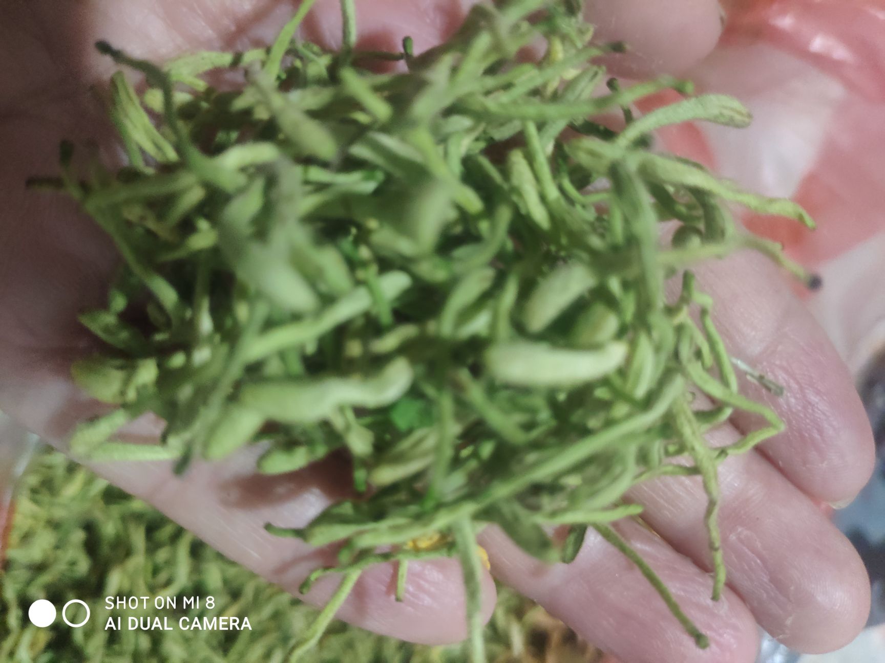 金银花，泡茶用，无硫，手选，批发零售