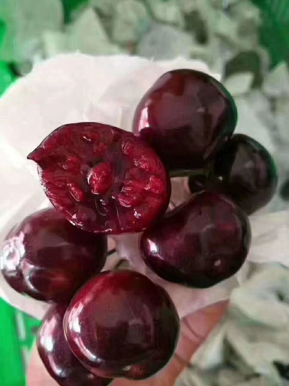 大樱桃 自家车厘子，比蜂蜜还甜，