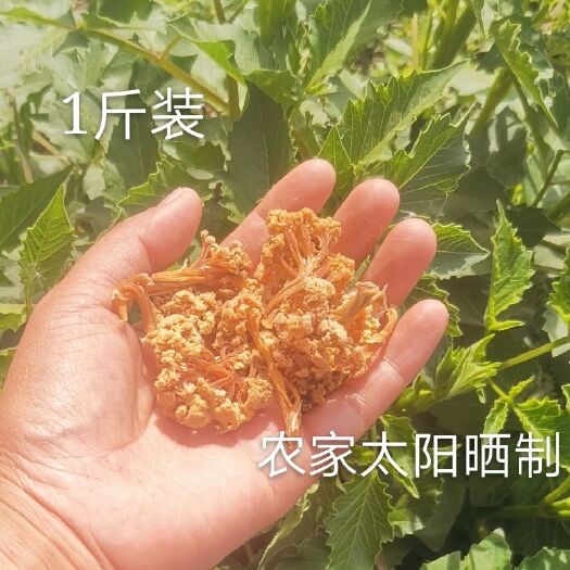 洋县陕西农家干菜花自制干花菜土特产脱水蔬菜干椰菜花干货菜花