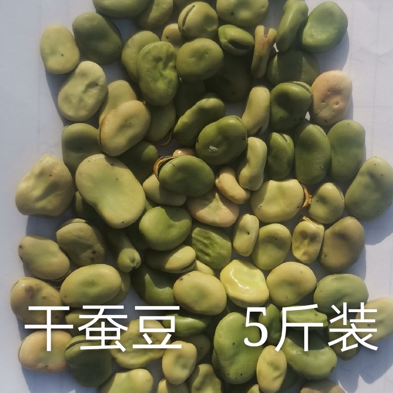 洋县 2020年新蚕豆胡豆大量上市，可供大货，干净、无杂