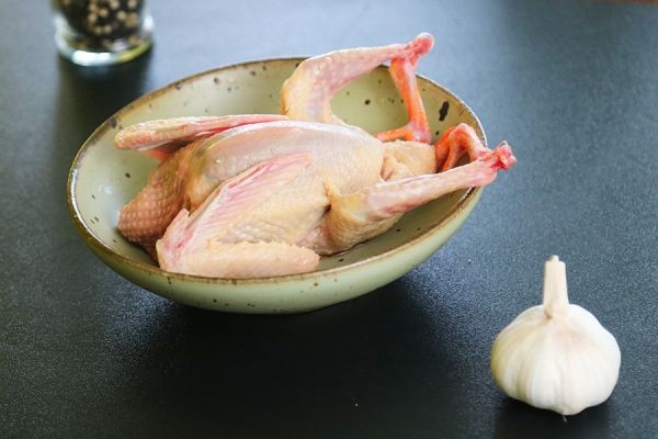 阜阳 新鲜乳鸽