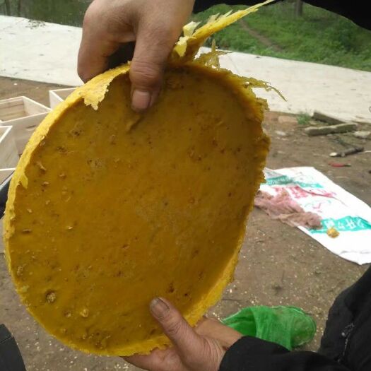 随县中蜂蜂蜡