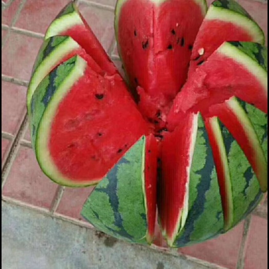 开封甜王西瓜