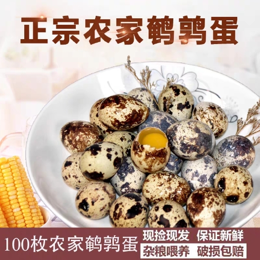  自家全手动杂粮喂养鹌鹑蛋 孕妈妈+婴儿辅食+老人+营养品