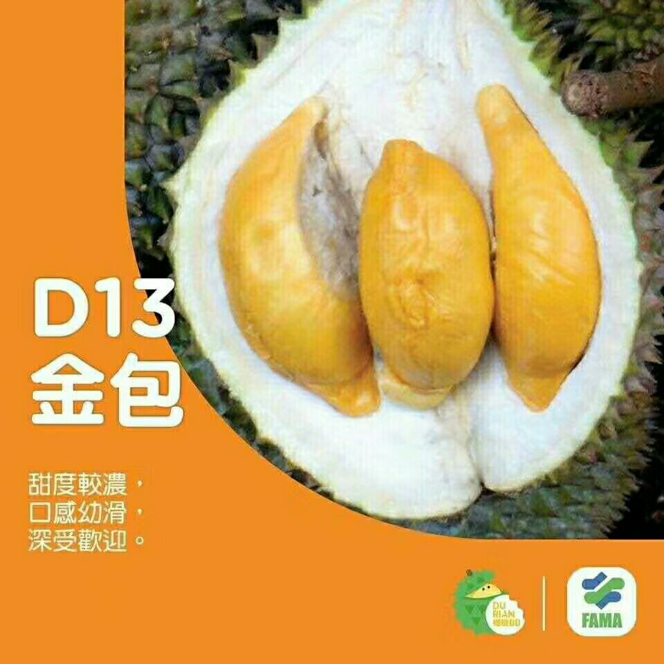 正宗马来西亚榴莲，各种检验检疫证齐全，质量保证，售后
