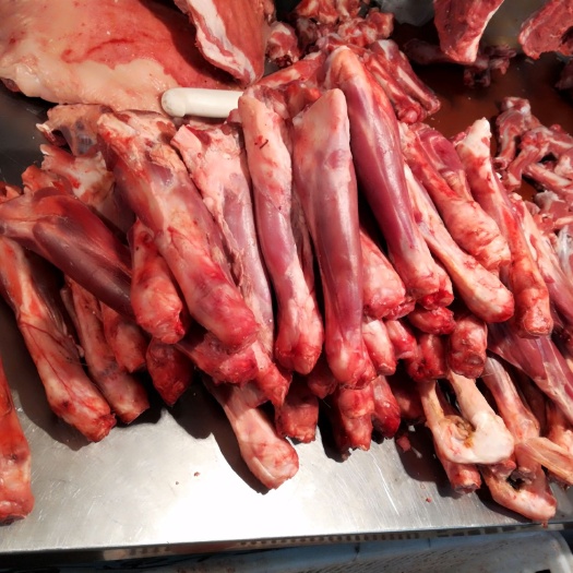 呼和浩特 四子王旗羔羊肉质量很好