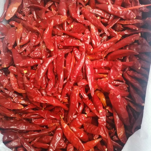昆明干辣椒  精品缅甸辣椒，特辣特香