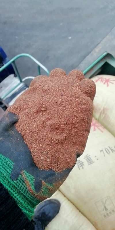 石家庄 国产菜粕