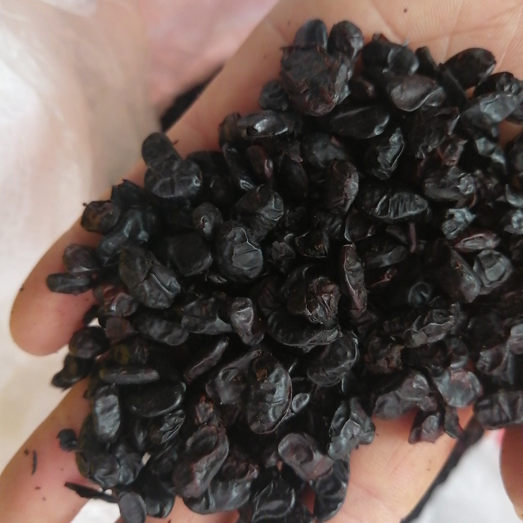 樂平市 黑豆豉干，包郵，一件50斤
