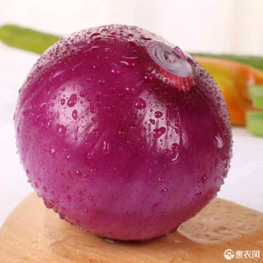 红皮洋葱  洋葱基地，农户直接交易无中间差价！价格下滑！