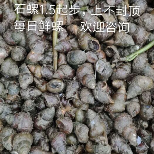 仙桃市大石