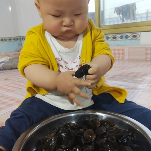  秋耳好吃，，排毒养颜，木耳