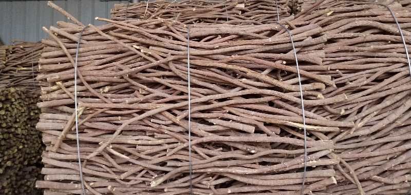 固原乌拉尔甘草  乌拉尔红皮甘草