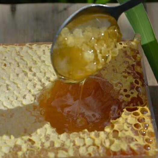 卓尼县蜂巢蜜 保质保量，货真价实。