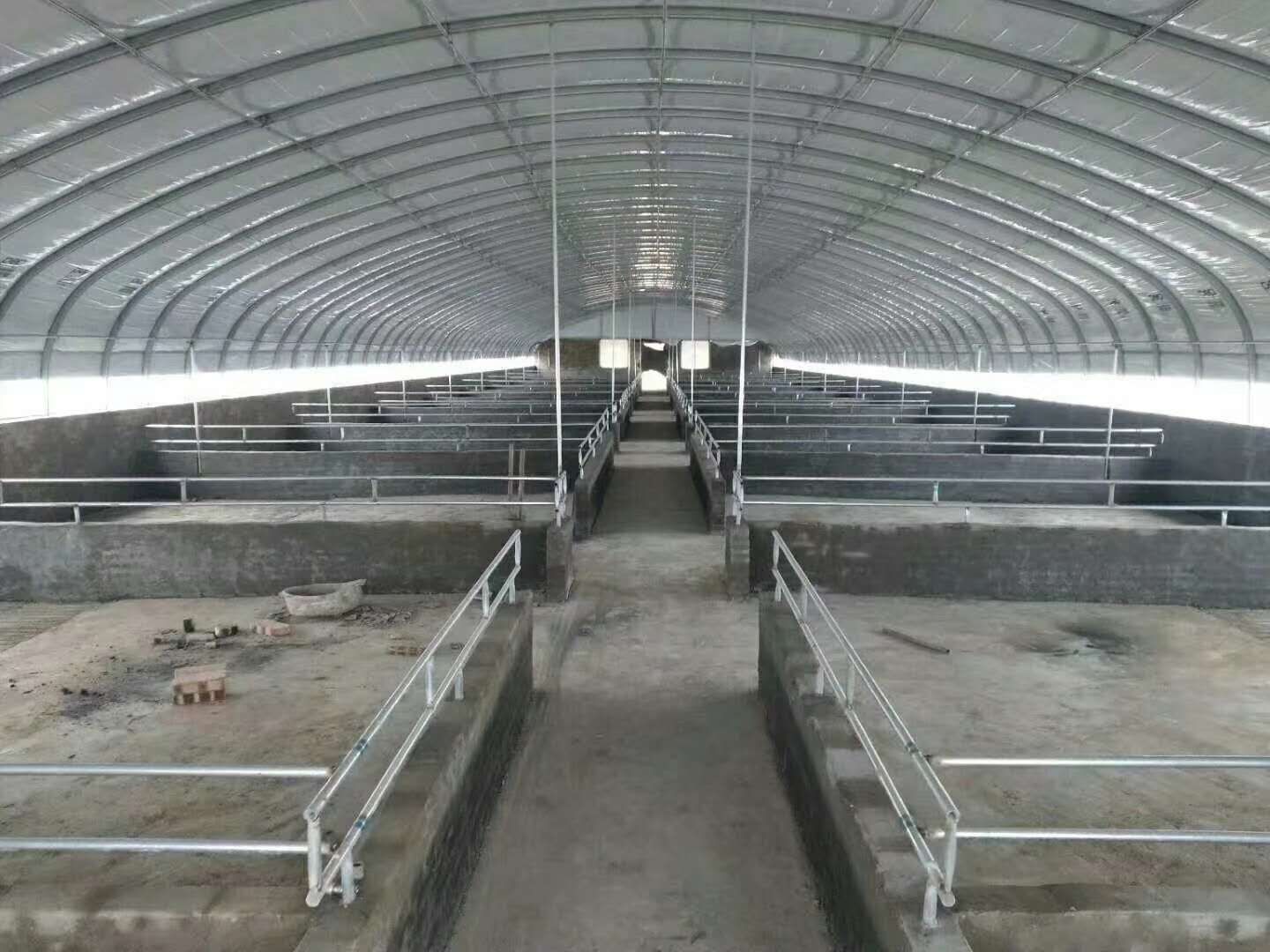 养殖大棚骨架 建猪，鸡，鹅，鸭 羊，牛温室大棚
