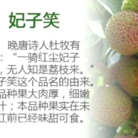 浦北县代购